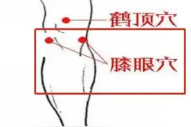 天气转凉，中医推荐多按这7穴，护好膝关节图片