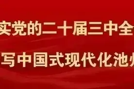 叶某，在池州当场被抓！图片