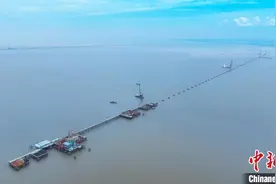 875根钢管桩顺利沉放 杭州湾跨海铁路大桥建设提速图片