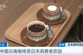 日本年进口云南咖啡生豆超900吨图片