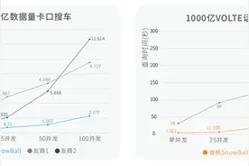睿帆科技：坚定国产数据库雪球Snowball自主创新之路图片