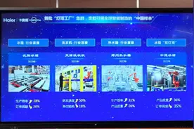 回应海尔兄弟组团“出道”，周云杰：企业文化与胖东来不谋而合图片
