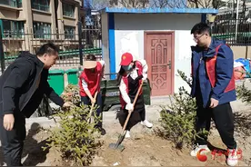 崇信：清明春光好 植树正当时图片