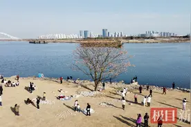 襄阳襄州有棵孤独树，被网友在地图上标注成地名图片