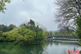 春来芳菲至 杭州公交推出多条“赏花线路”图片