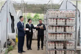 成都农商银行：全力推进普惠金融服务乡村振兴图片