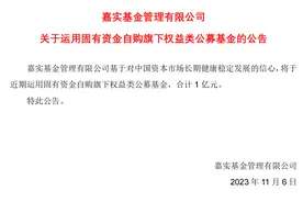 出资1亿元接力自购！嘉实基金经雷称，当下正是逆向布局权益资产的时机图片