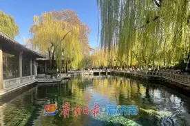 初冬美景 五彩斑斓“秋色”浓图片