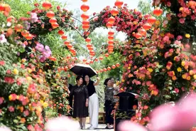鲁南乡村美如画卷惹人爱，靓化提升工程扮美农家花园图片