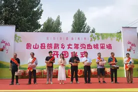 河南鲁山：大年沟村血桃集中上市俏销市场图片
