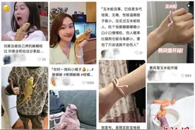 年轻人热衷养异宠 冷门动物渐入大众视野图片