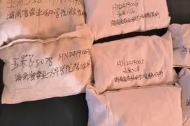 “太空种子”，将在三亚播种！图片