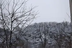东北大降温：铁岭飘下今冬第一场雪，一夜陡降超10℃！中央气象台发布寒潮黄色预警图片