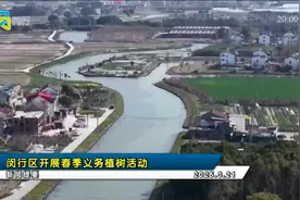20250321闵行新闻完整版视频封面
