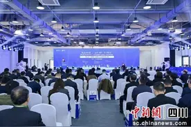 成都市园区人才对接会暨创业大赛简阳专题赛举行图片