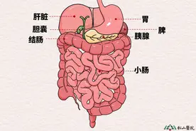 松山医院：腹部隐痛多年 竟是患上了罕见的胰腺分裂症图片