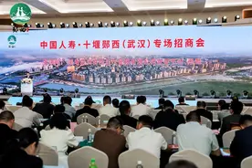 十堰郧西在汉引资百亿元图片