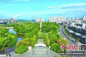 营山：全力开创川渝合作示范县建设新局面图片
