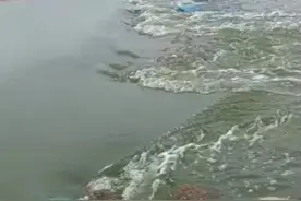 广东多地现海水倒灌，养殖户：至少损失几十万图片