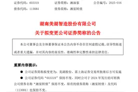 “湘油泵”改名为“美湖股份” 哪些上市湘企近年改了名？图片