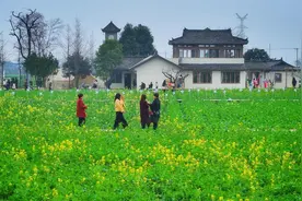 麦田音乐节奏响乡村振兴“和美乐章”图片