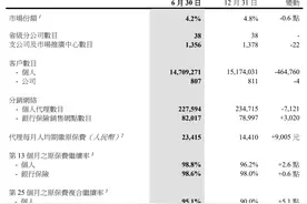 中国太平上半年保险服务收入增长 太平人寿市场份额下降图片