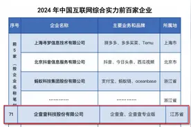 深挖企查查！2024中国互联网百强商查行业独一份，为何又给了它？图片