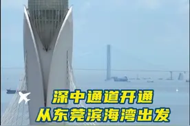 视频实测！深中通道开通后，20分钟东莞滨海湾⇌深圳宝安机场图片