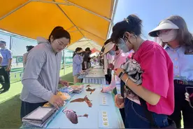 银川150人鸣翠湖公园感受生物多样性之美图片