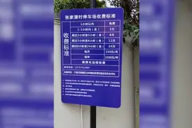 宁波一镇政府回应“外地车辆进村需停车收费”：为保障城乡结合部村民出行通畅视频封面