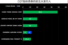 中欧《共同分类目录》贴标绿债超280只，外资持仓有待提升图片
