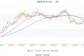 紫金矿业：2024年上半年净利润同比增长46.42% 拟10派1元图片