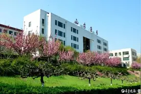 多少分能上山东医学高等专科学校？报考建议来了图片