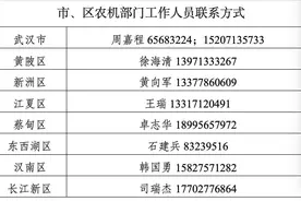 最高补贴额3万元！武汉农机报废补贴政策详解来了图片
