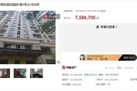 单价约4.5万元/㎡！文澜实验学区房成功法拍~图片