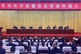 聚焦对外开放和优化营商环境 四川资阳践行“负责到底”承诺图片