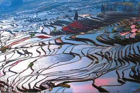 【网评大赛】拓宽思路，打造全新的“云南旅游”图片