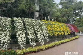昆明动物园中秋国庆好玩场→图片