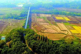 2024年湘潭市“三农”领域特色亮点工作回眸：舒展乡村振兴新画卷图片