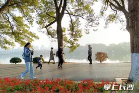 组图 | 湖南烈士公园：雪化路清  又复原景图片