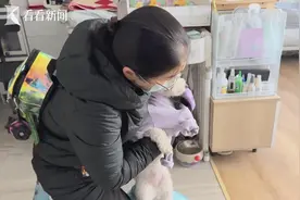小萌宠撬动大经济 宠物消费迎热潮图片