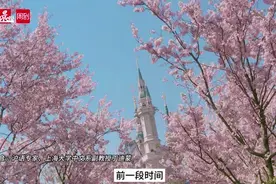 迪士尼里的花花草草开了，上海话原来这样读！图片