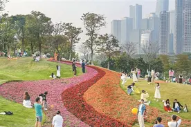 春满鹏城百花香图片