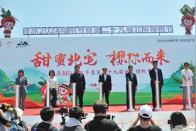 青岛进入樱桃时间 北宅樱桃节精彩活动持续到6月中旬图片