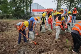 武汉都市圈环线HNTJ－8标项目：共筑防汛安全网图片