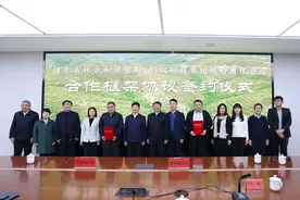 助力京津冀生态屏障建设：蚂蚁集团为河北种树造林再捐1亿元图片