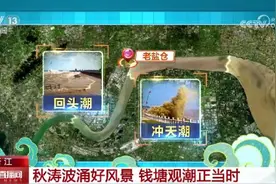 “壮观天下无” 又是一年钱塘潮！八种潮景可以这样看→图片