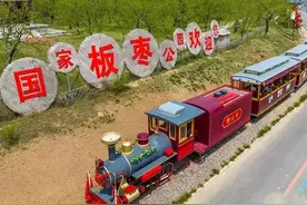 一颗板枣的千年守望与时代新生 | 新春走基层图片