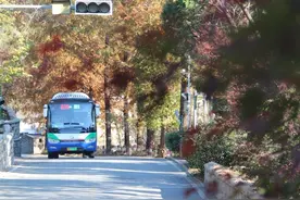 崂山“季节限定”美景上线！这份青岛温馨巴士乘车指南快收藏图片