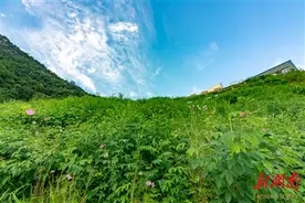 咬定青山不放松 百年钨矿换新颜——瑶岗仙矿业推进中央生态环境保护督察反馈问题整改侧记图片